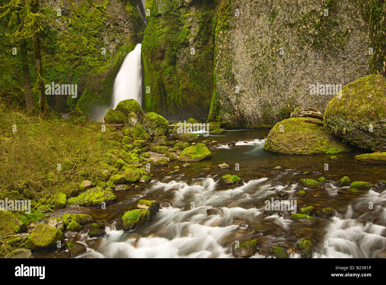 Wahclella Falls In The Columbia River Gorge Scenic Area In Oregon Stock 