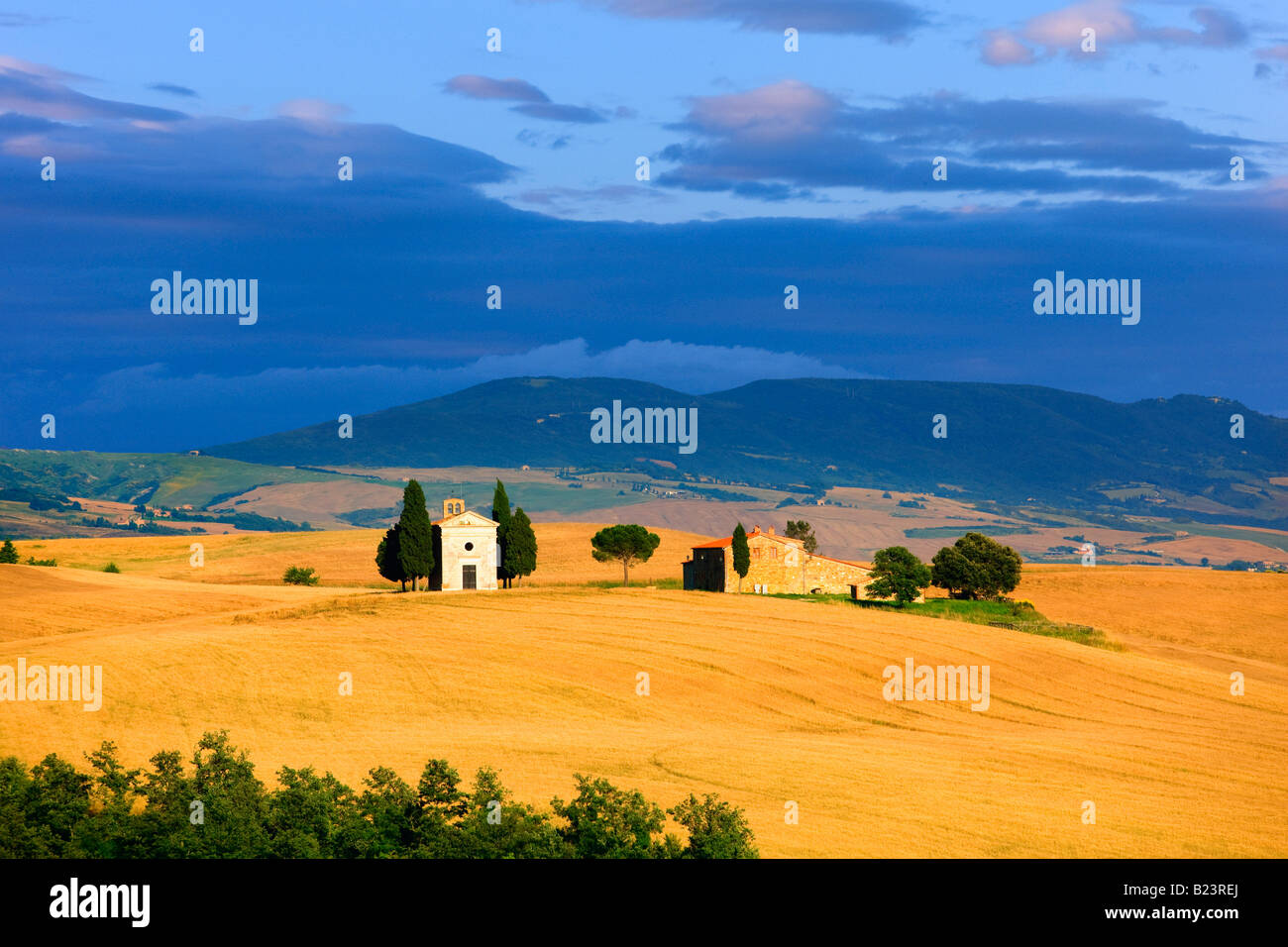 landscape near Pienza in Tuscany Stock Photo