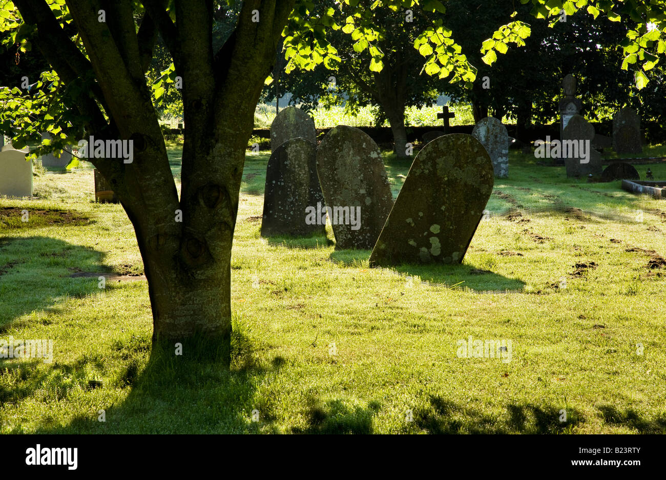 Old gravestones in Holy Cross churchyard, Ashton Keynes, Wiltshire, England, UK Stock Photo