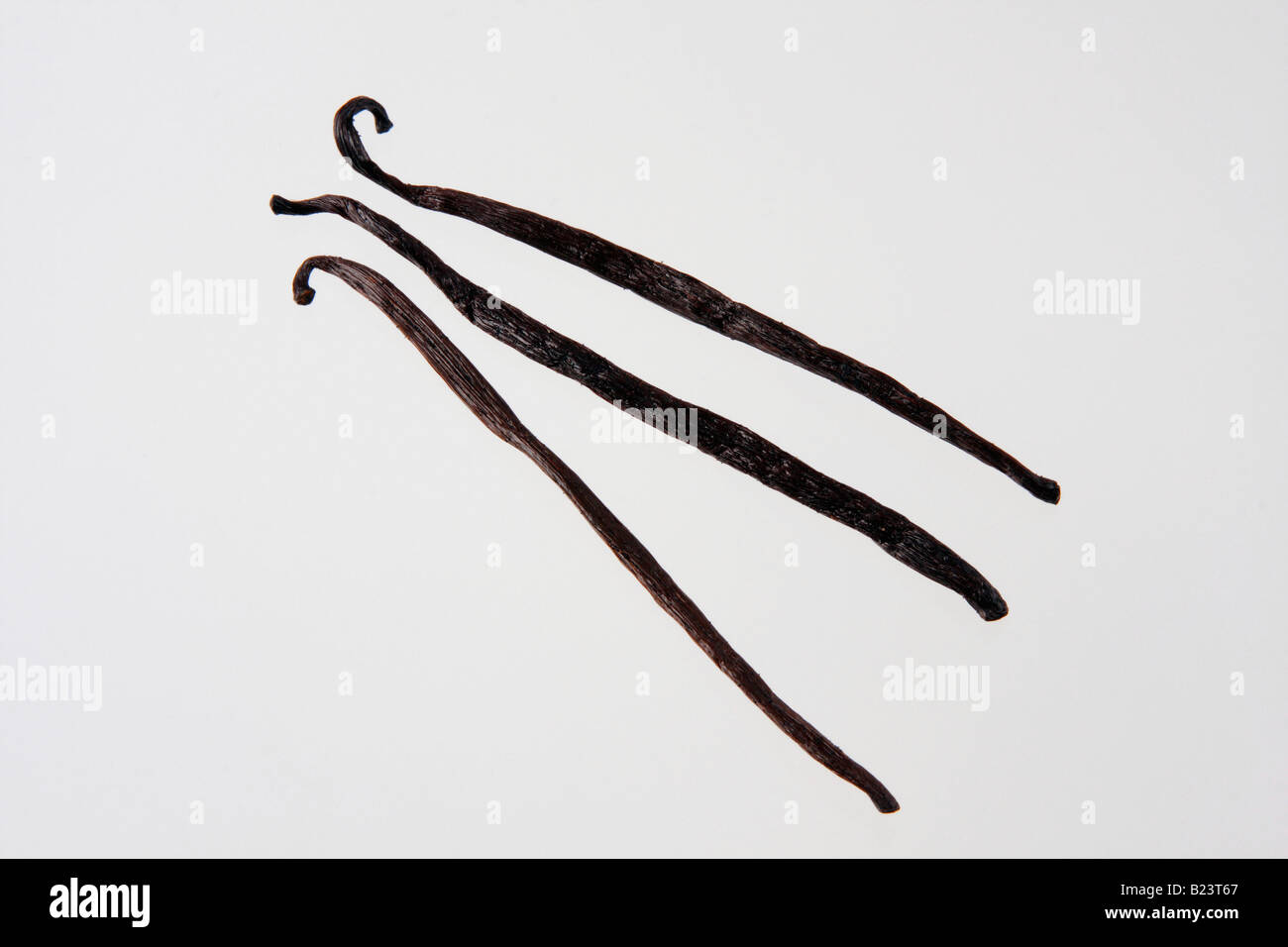 clip image vanilla beans or pods Stock Photo
