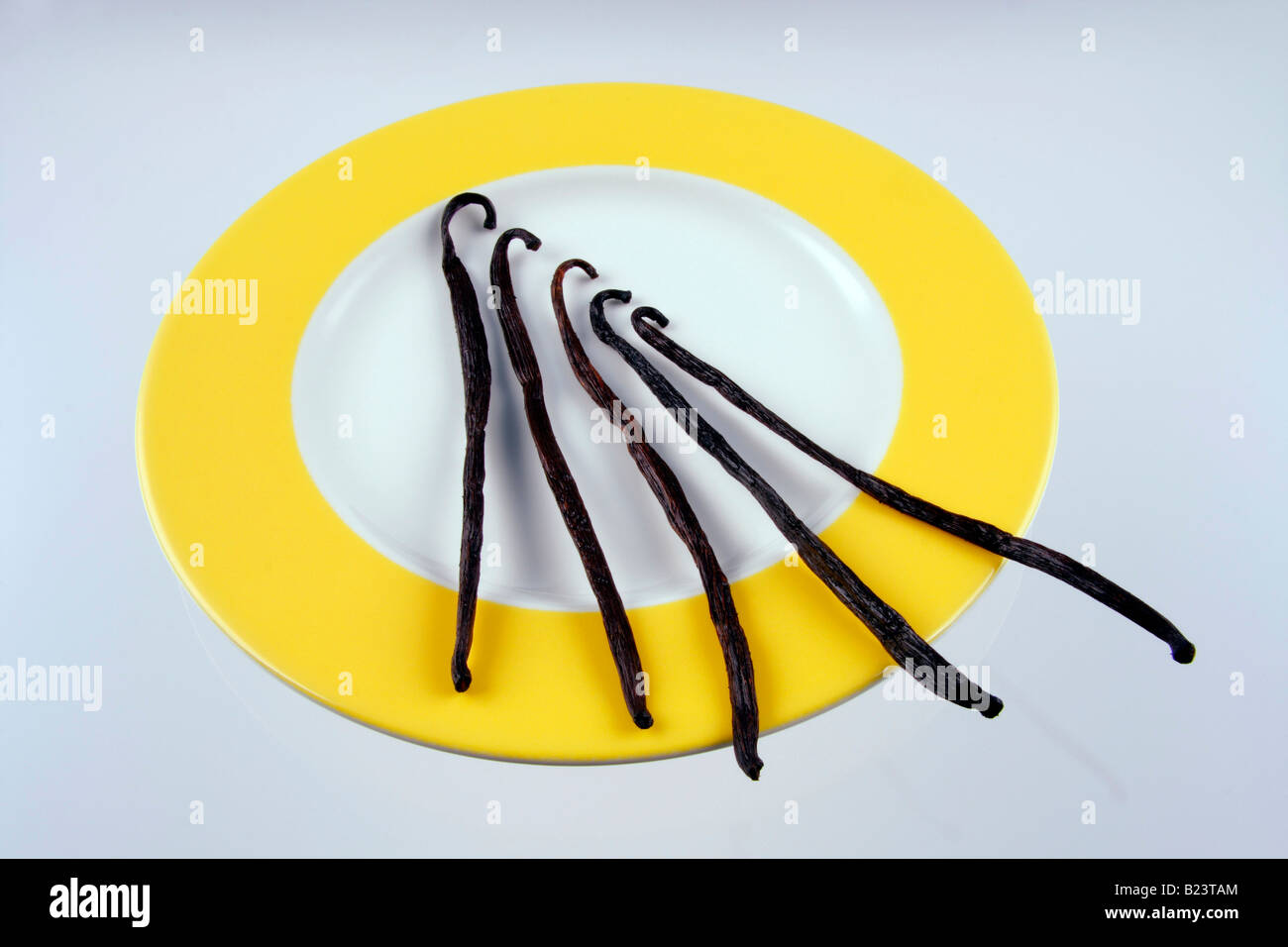 vanilla beans or pods Stock Photo Alamy