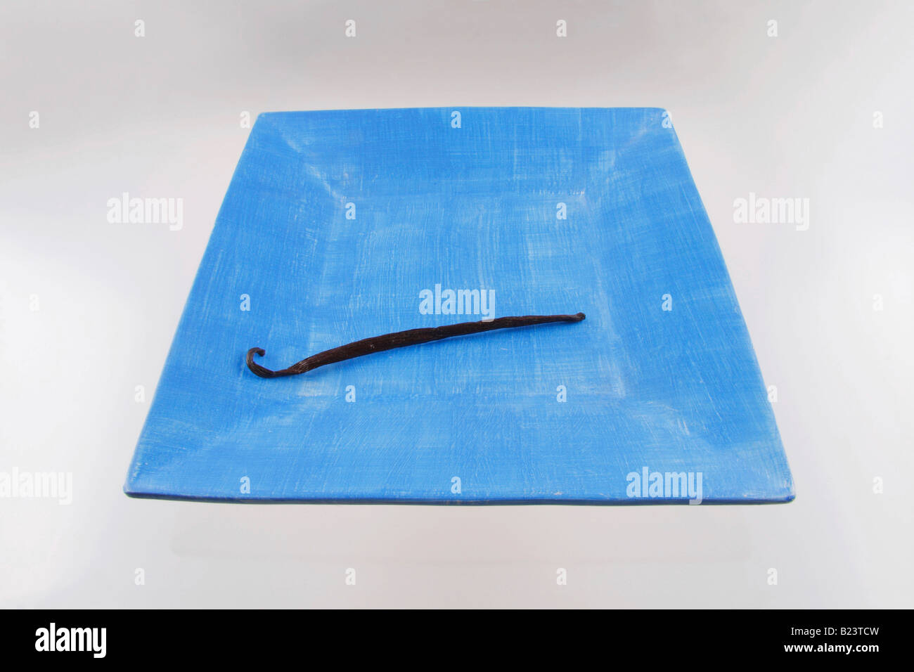 vanilla bean or pod Stock Photo