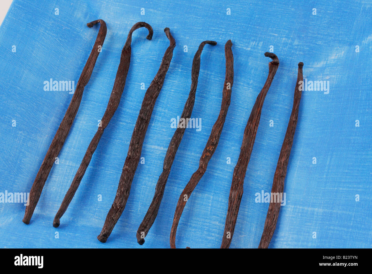 vanilla beans or pods Stock Photo Alamy