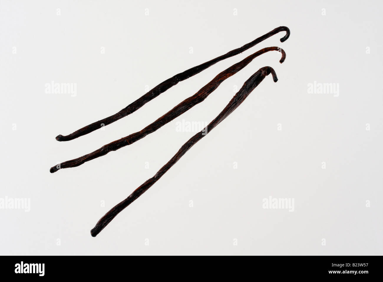 clip image vanilla beans or pods Stock Photo