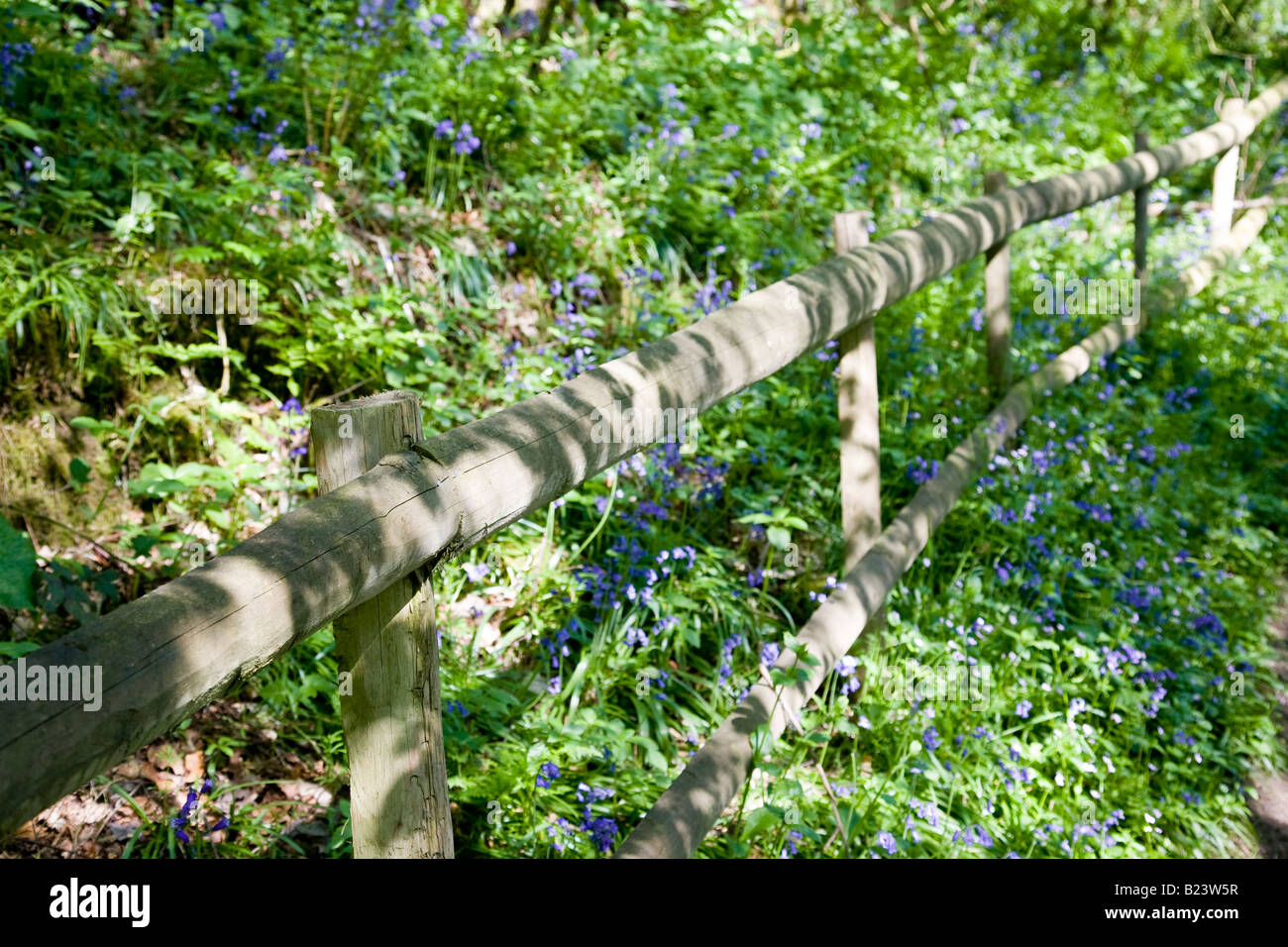 Fence post flowers hi-res stock photography and images - Alamy