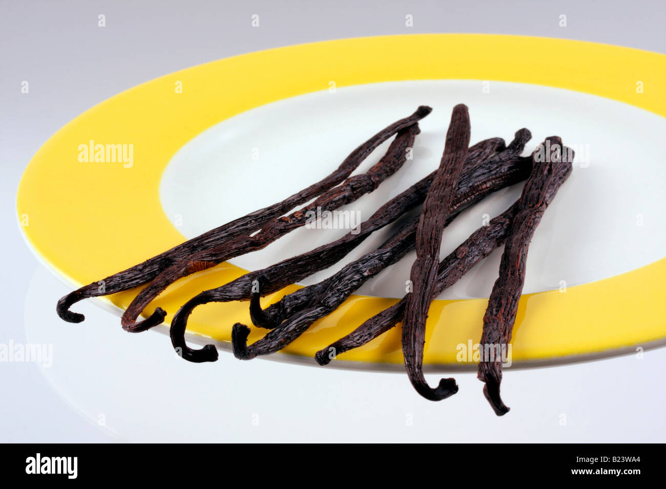 vanilla beans or pods Stock Photo Alamy