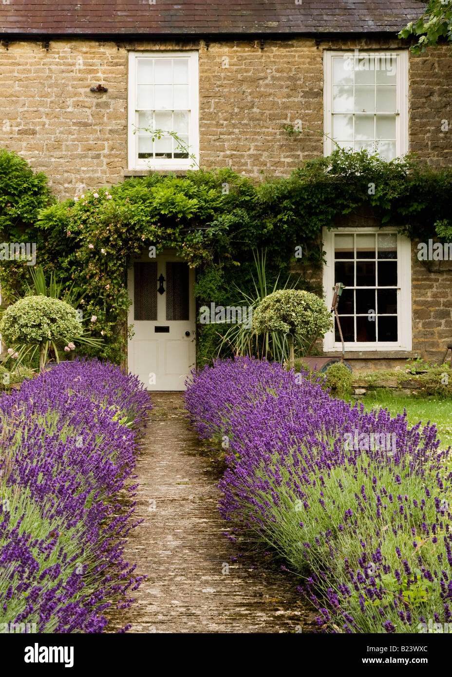 Path lined with lavender leading up to the front door of a Cotswold stone country house in