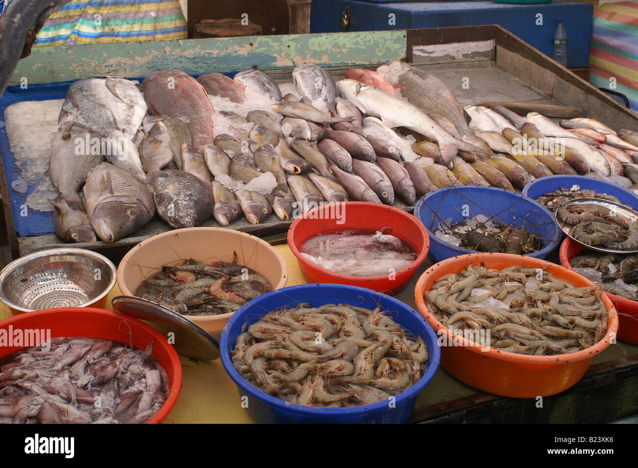 A selection of seafood for sale in Cochin, Kerala, India Stock Photo