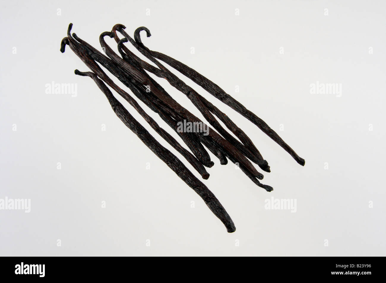 clip image vanilla beans or pods Stock Photo