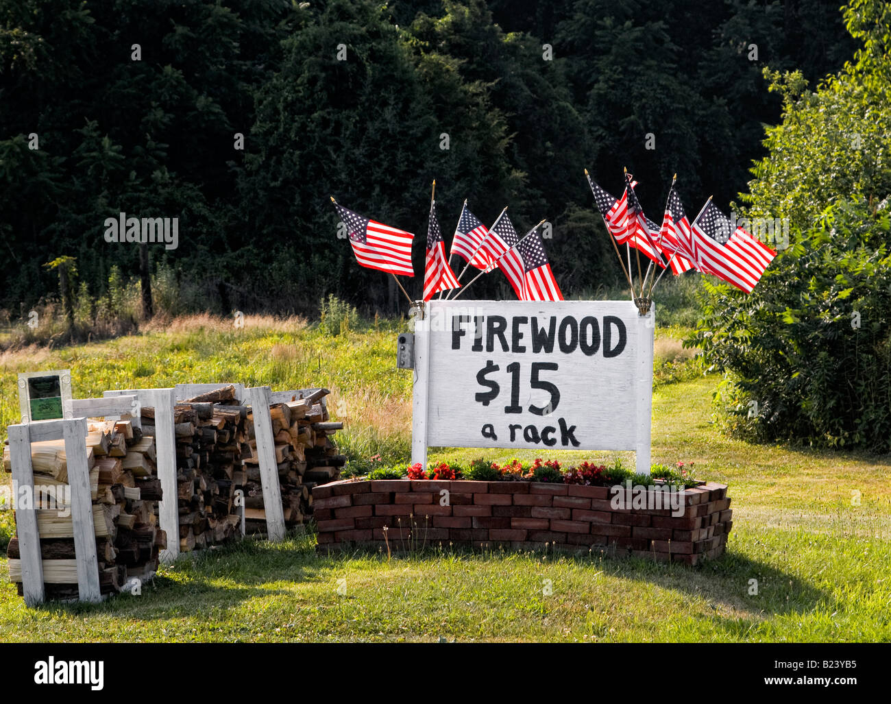 Group of American flags near firewood for sale sign, blowing in the