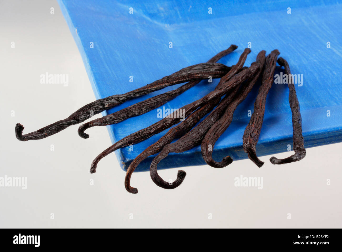 vanilla beans or pods Stock Photo Alamy
