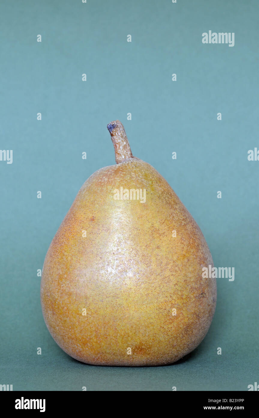 Taylors Gold Pear from New Zealand on green background Stock Photo