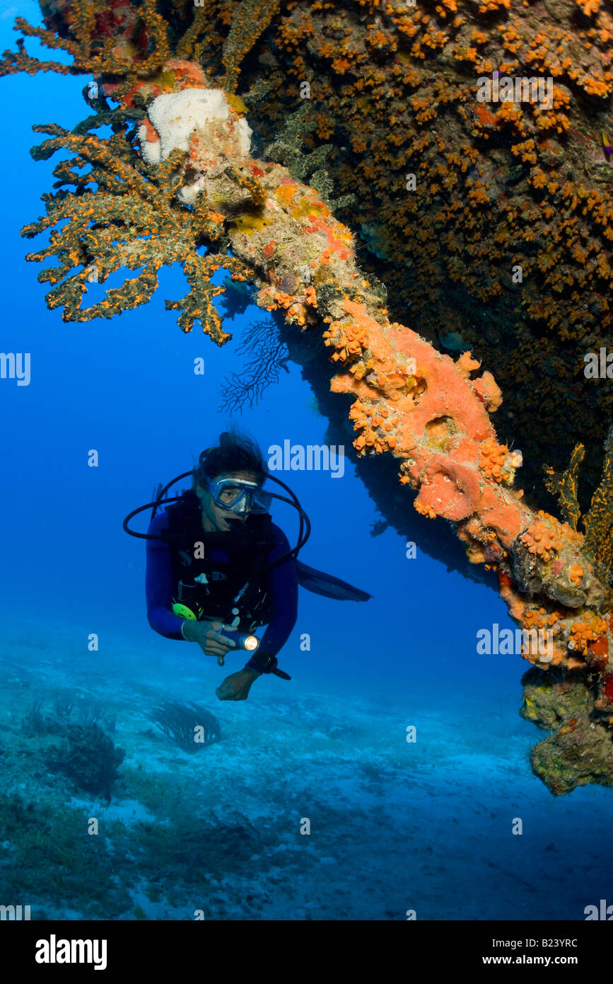 Scuba diver and shipwreck, Bahamas. Stock Photo