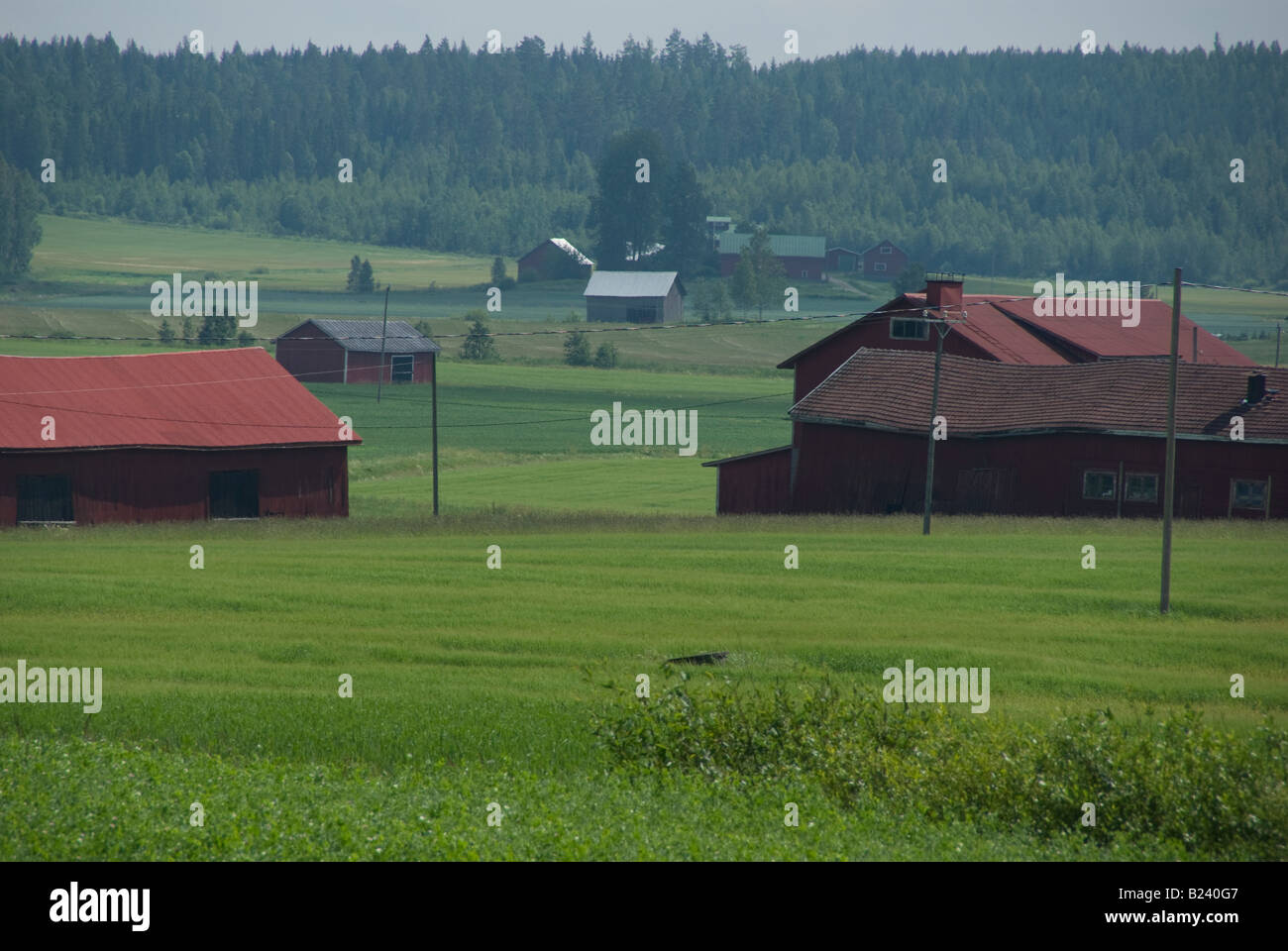 Finnish countryside with farmhouses and barns and green fields Stock Photo