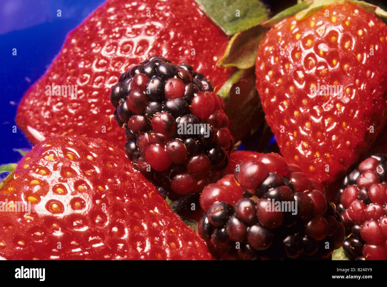 Fresh Berries Stock Photo