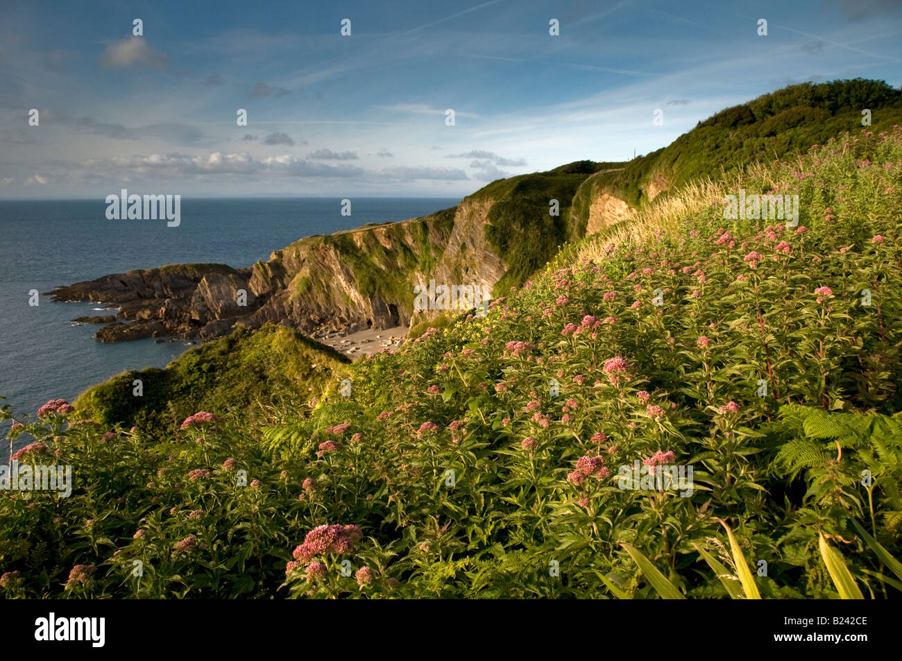 Coastline between Ilfracombe and Combe Martin. North Devon. Exmoor