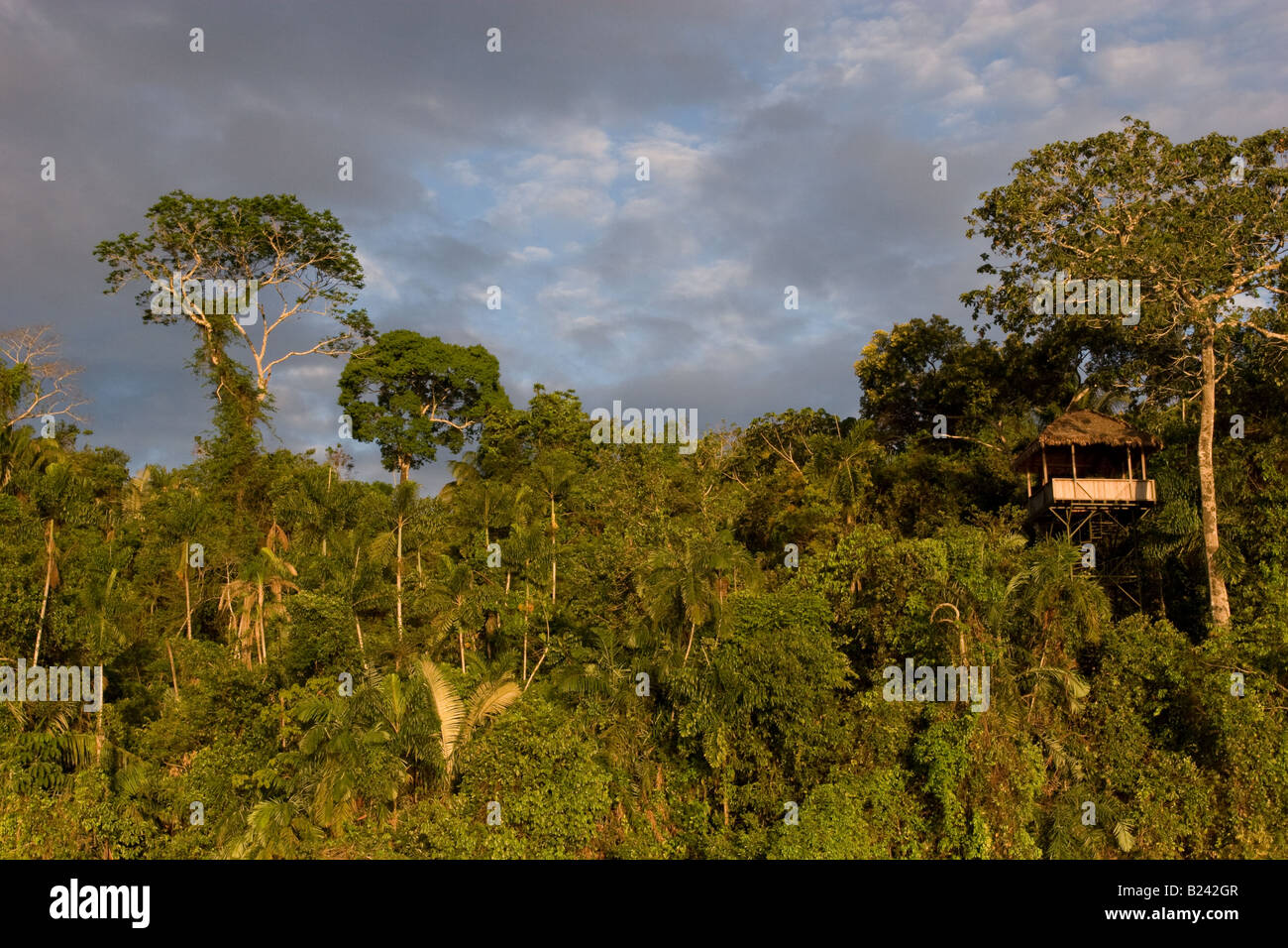 Lake Sandoval Jungle Stock Photo - Alamy