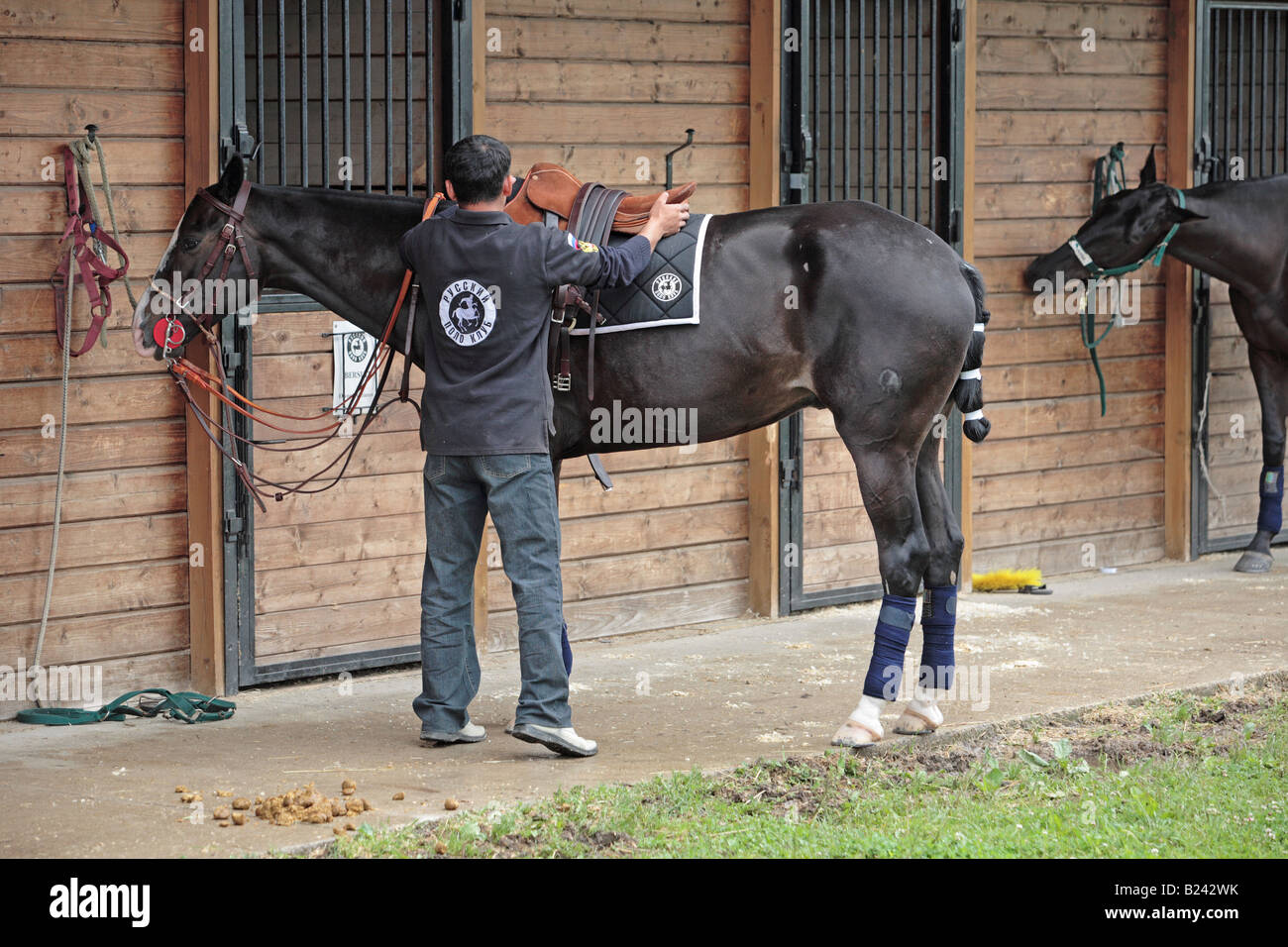 Russian Polo Groom Stock Photo Alamy