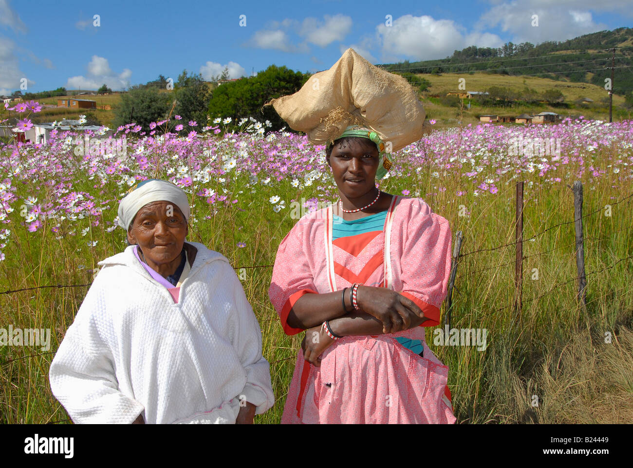 Aulu women in brightly coloured dresses in autumn with cosmos flowers in background, Kwazulu Natal, South Africa Stock Photo