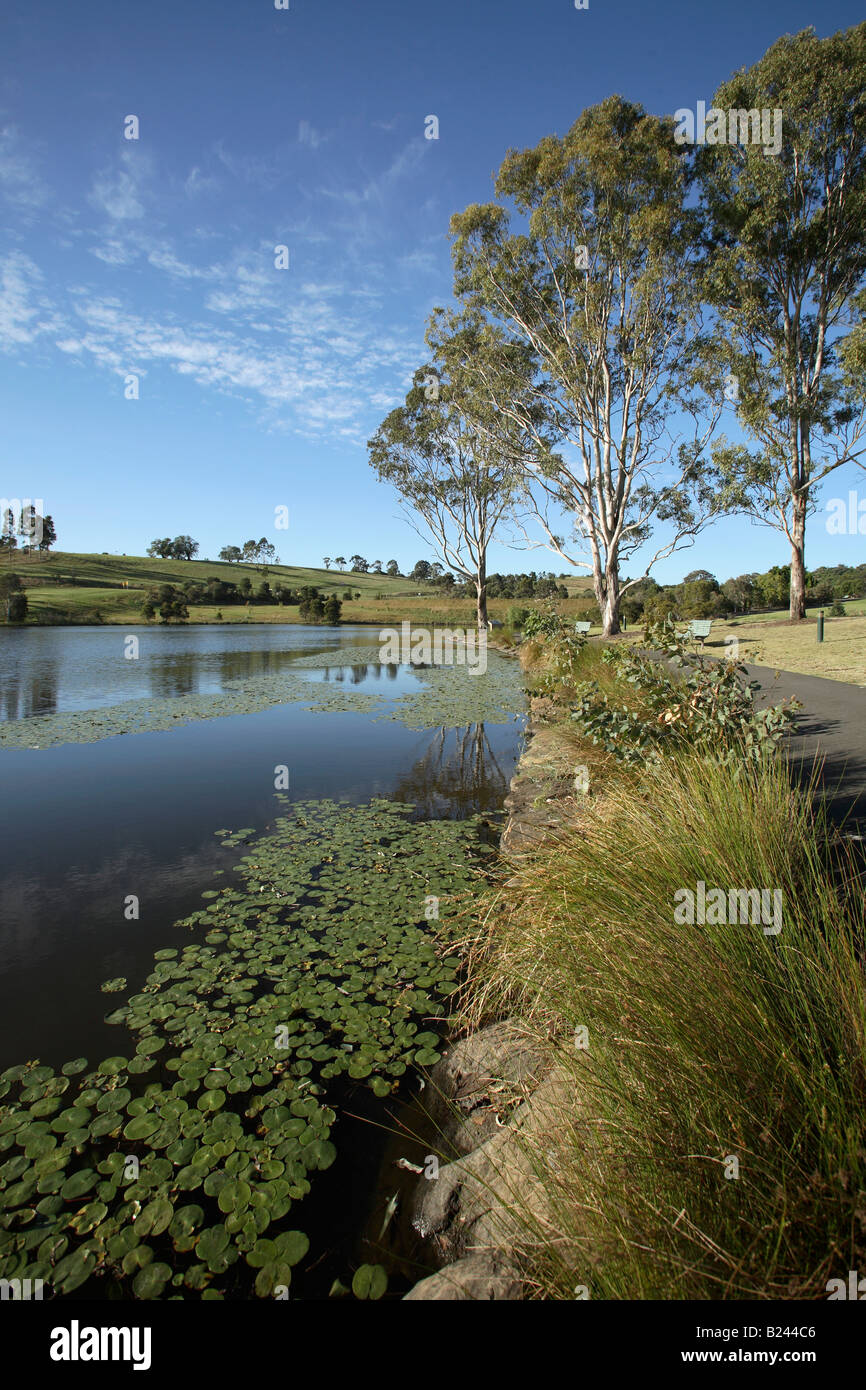 Lake Sedgwick Mt Annan Botanic Garden Sydney New South Wales Australia Stock Photo