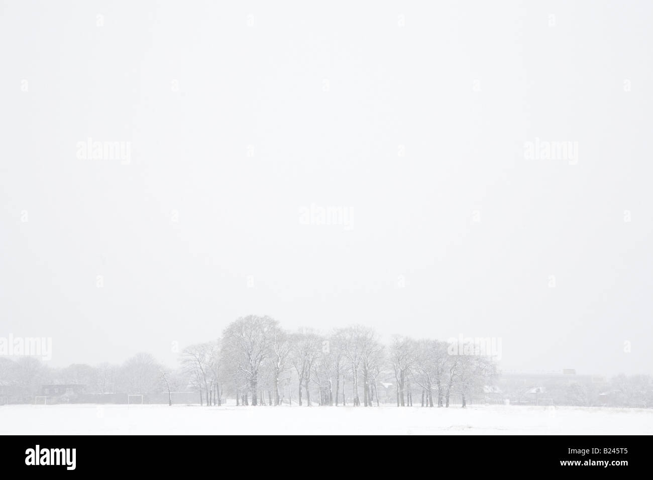 A snowy day Stock Photo