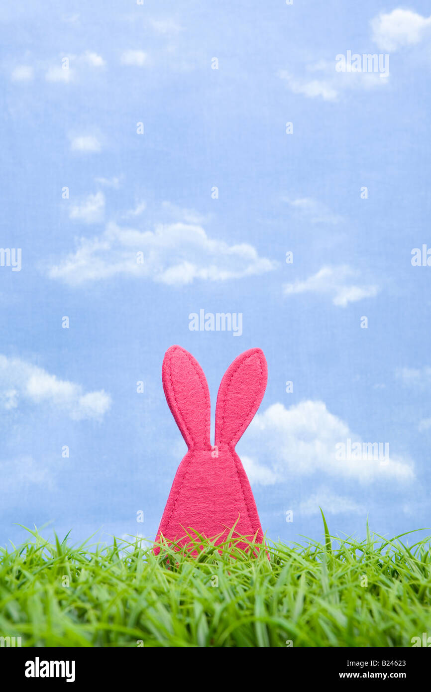 A rabbit shape Stock Photo Alamy