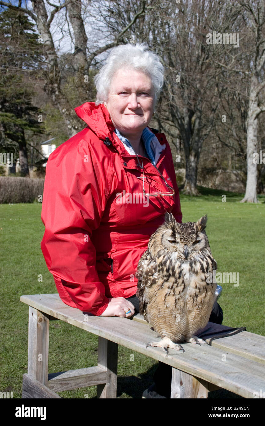 Senior citizen lady sitting next to Fonzy the Bengal Eagle Owl Stock Photo