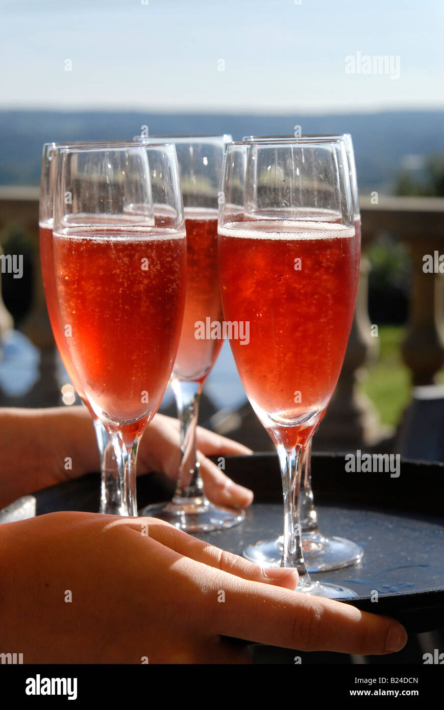 Bubbling glasses of champagne hi-res stock photography and images - Alamy