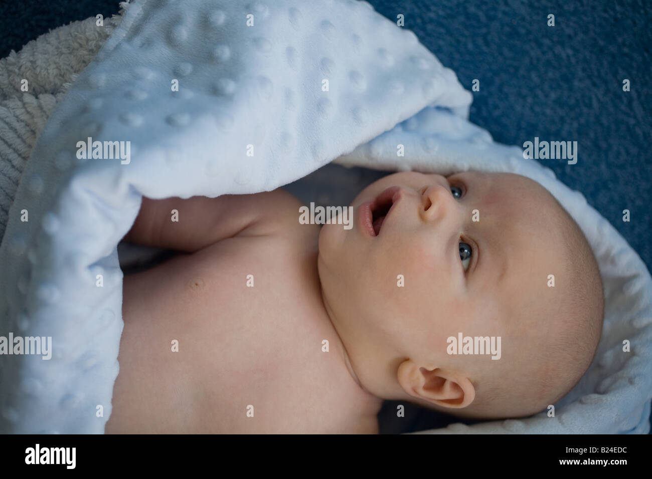 Baby in a blanket Stock Photo Alamy