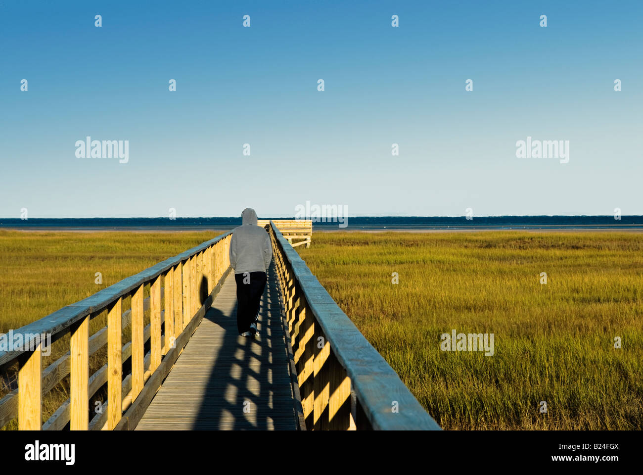 Bass hole boardwalk hires stock photography and images Alamy