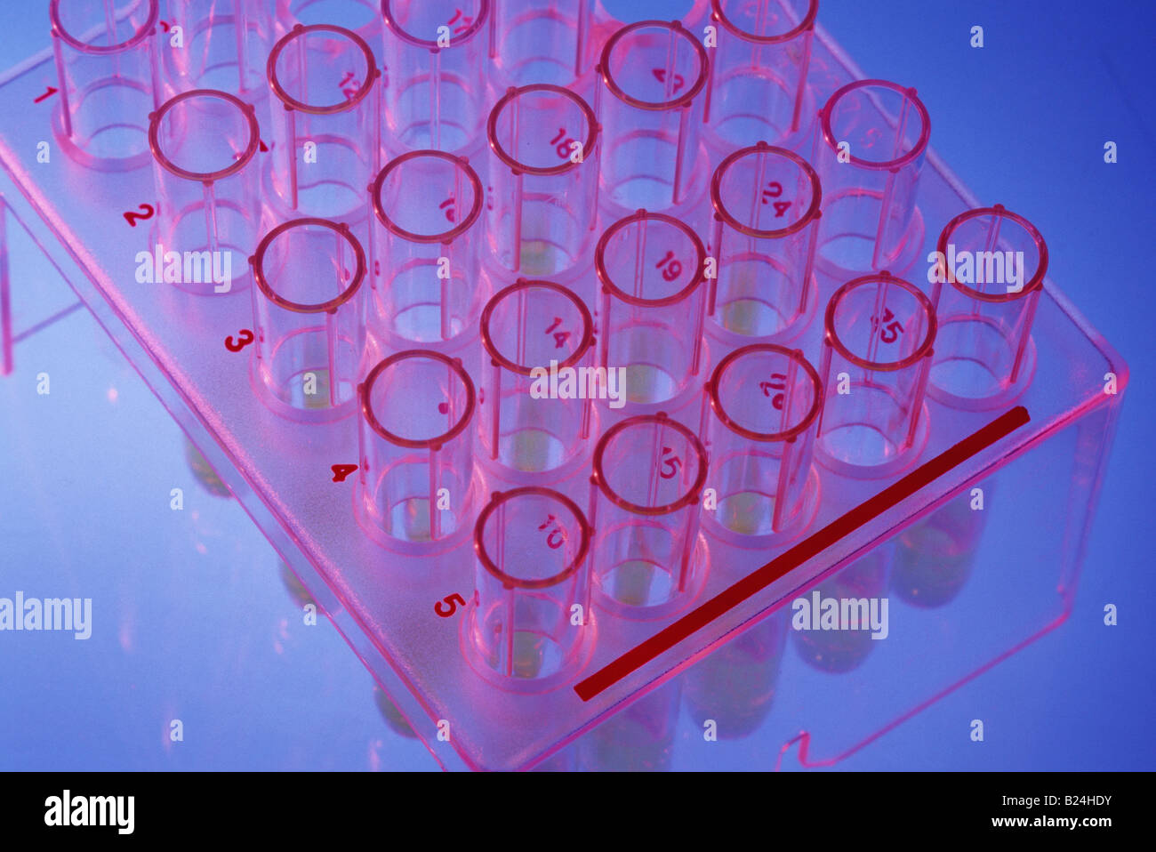 TEST TUBES IN RACK LABORATORY SPECIMENS Stock Photo Alamy