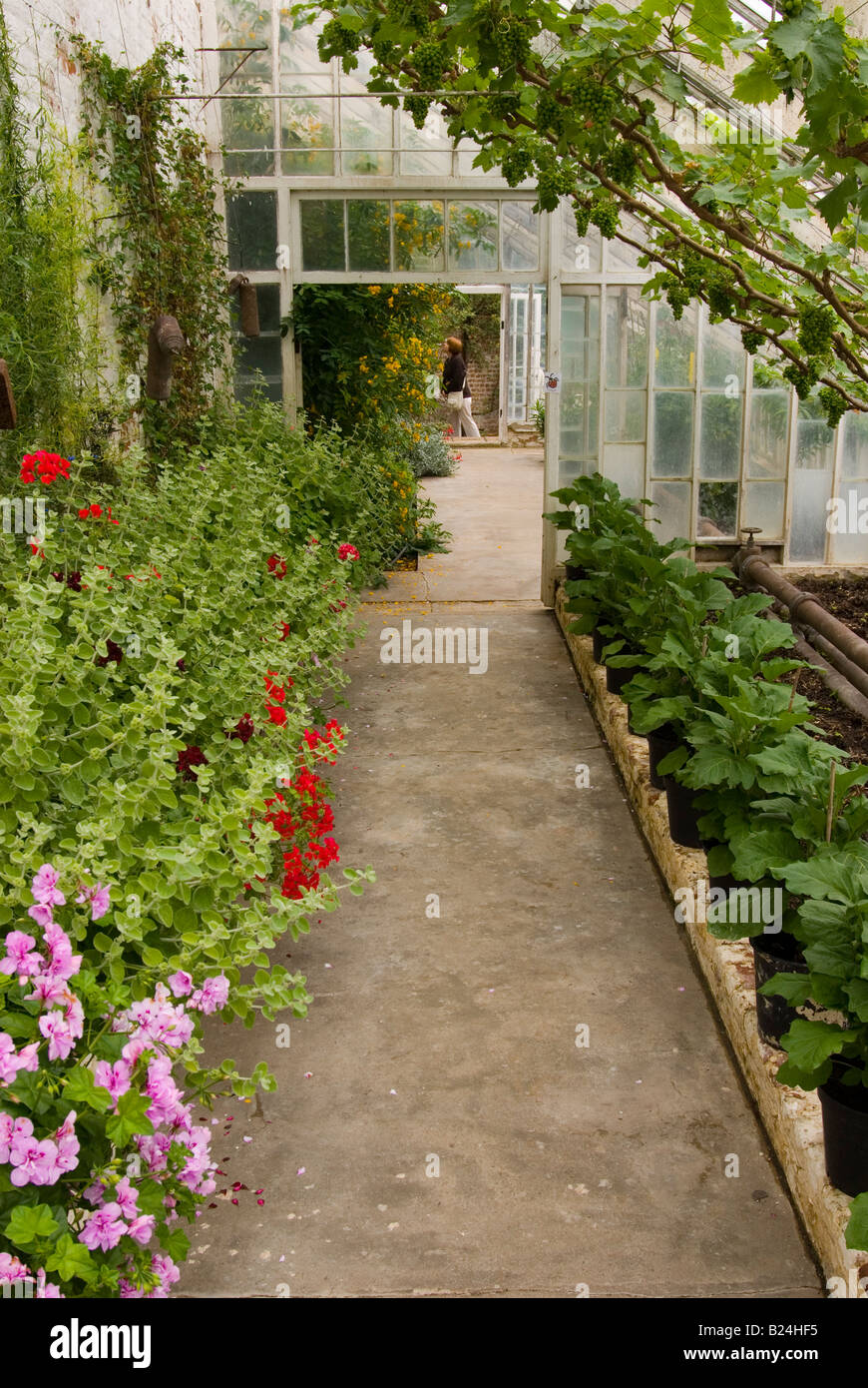 Manor house greenhouse hi-res stock photography and images - Alamy