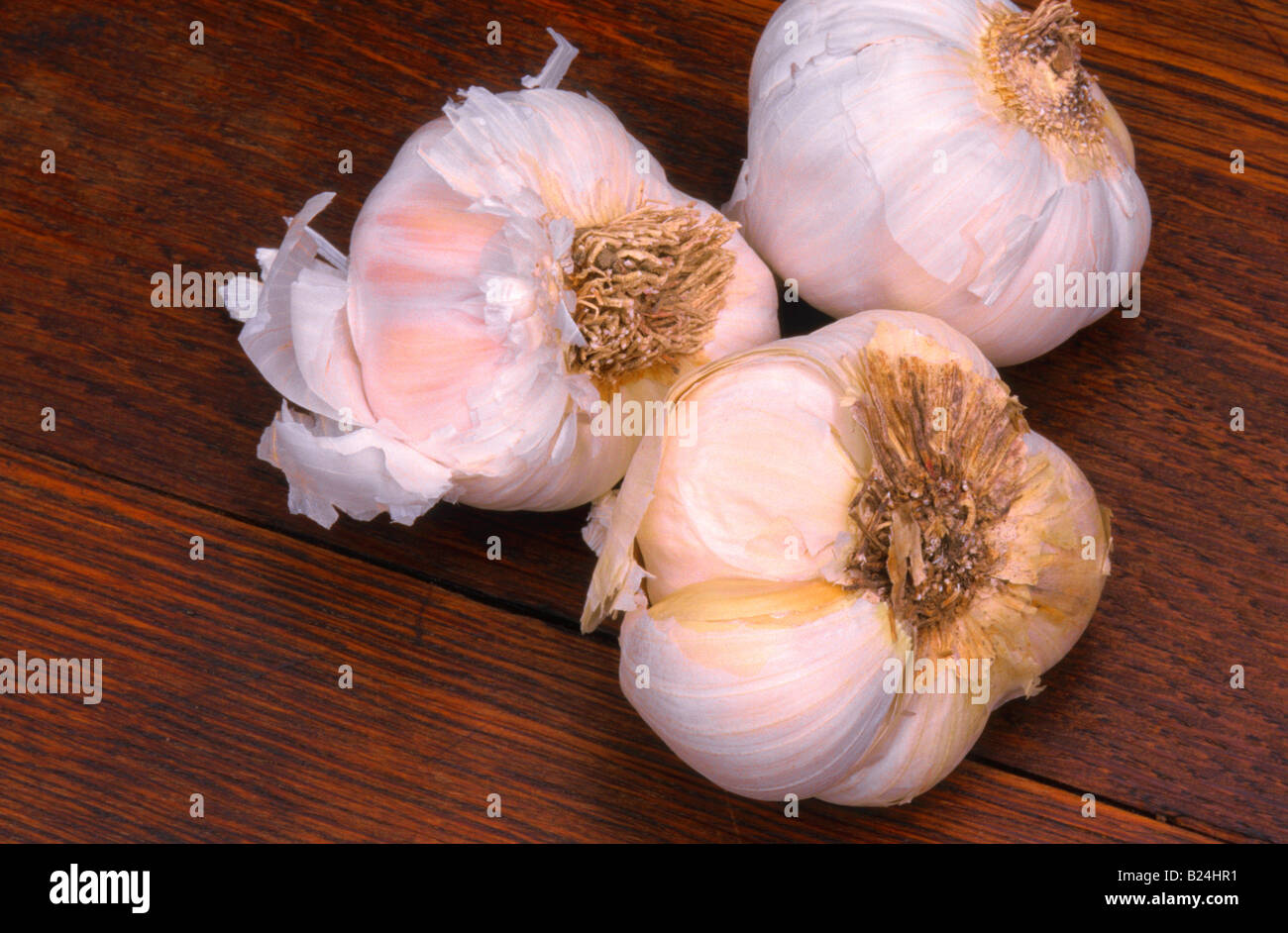 CLOSE UP GARLIC BULBOUS HERB Stock Photo