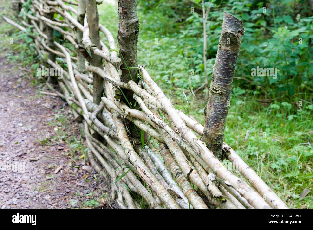 Traditional woven fencing Stock Photo Alamy