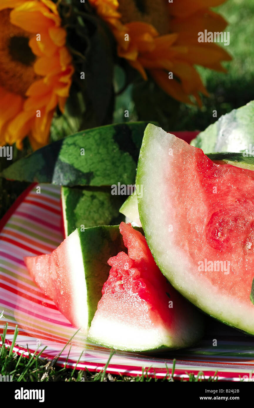 Plate Of Watermelon Vase Of Sunflowers On Grass In Summer