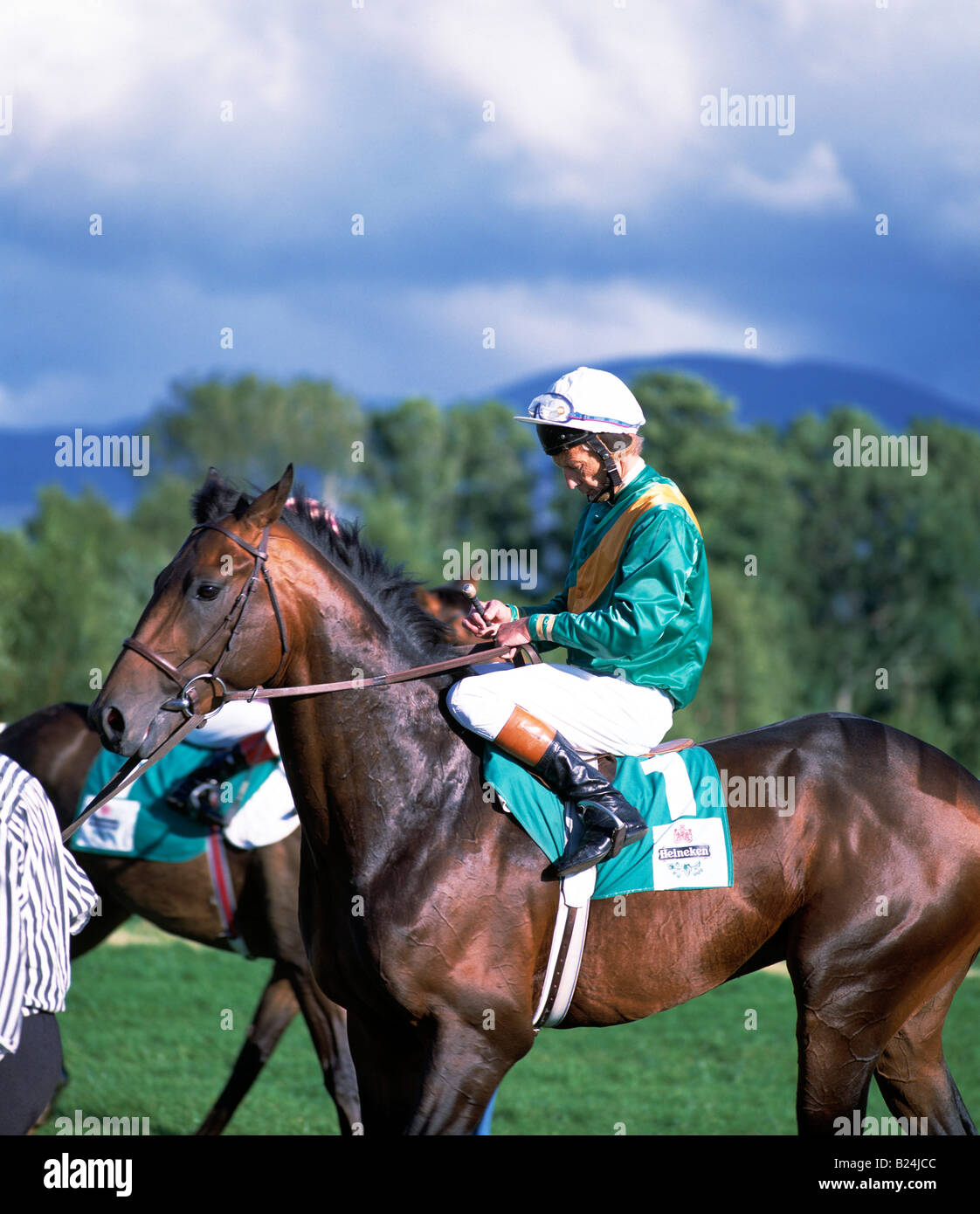 Irish horse race hires stock photography and images Alamy