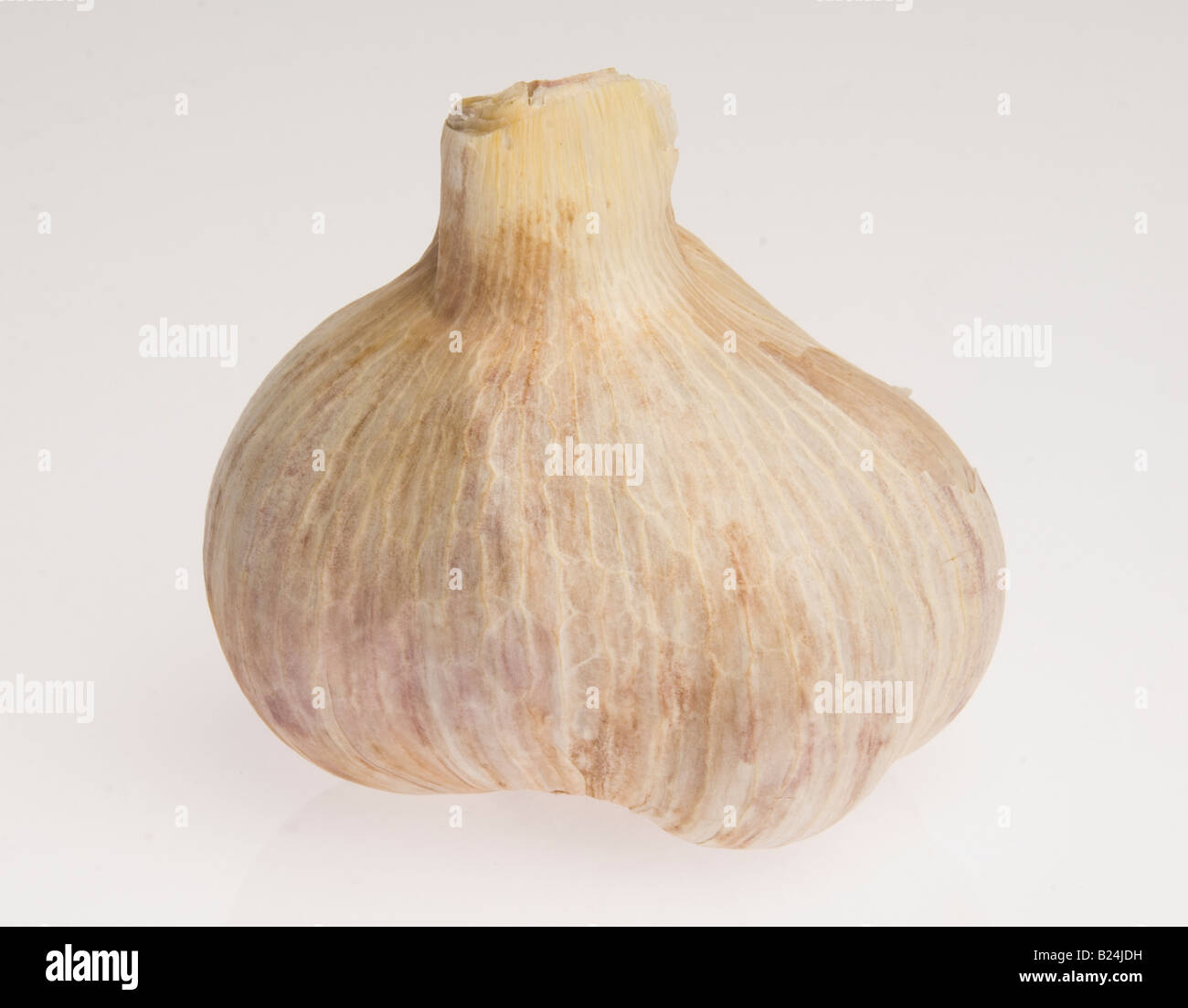 garlic clove bulb Stock Photo Alamy