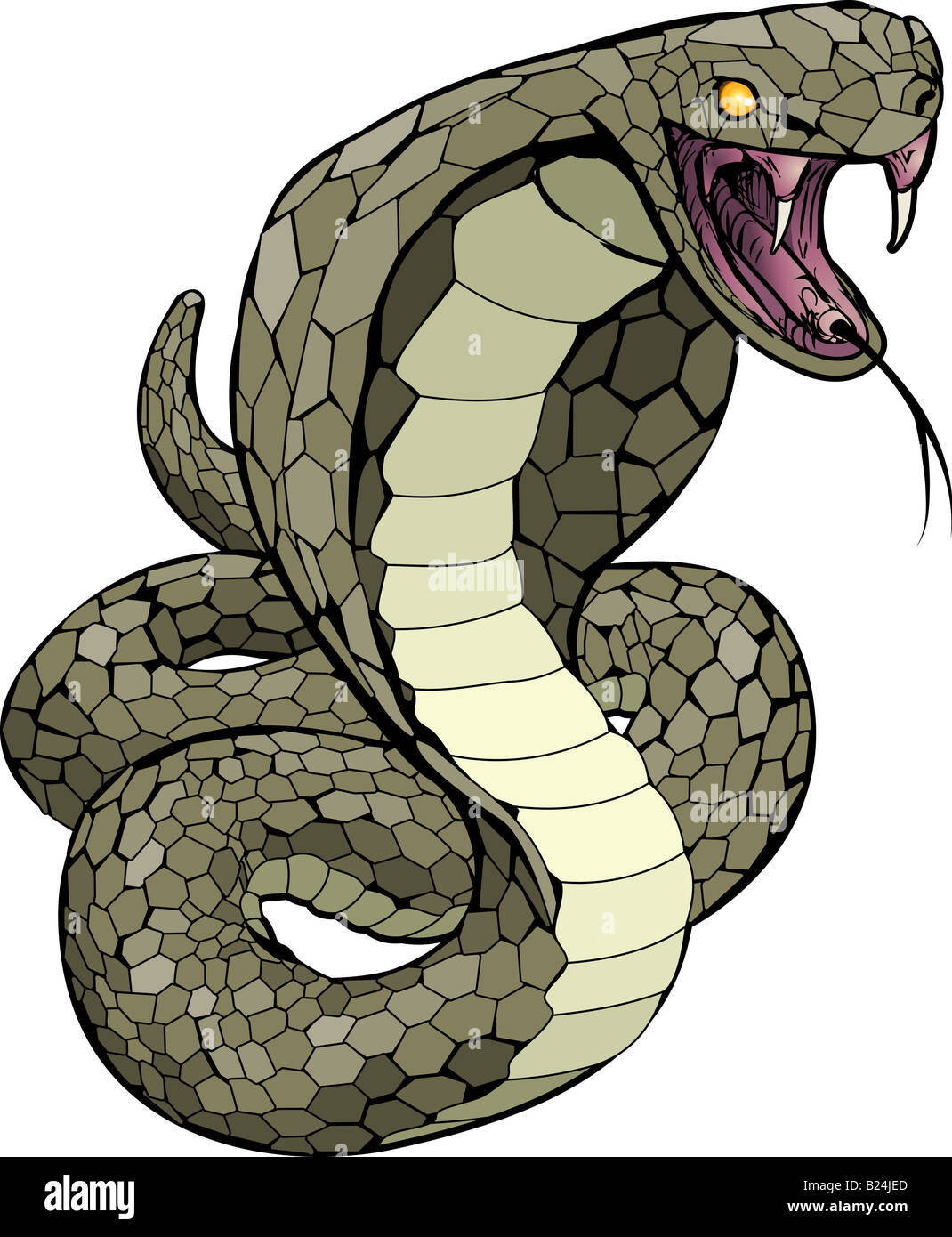 A Cobra snake about to strike illustration Stock Photo - Alamy