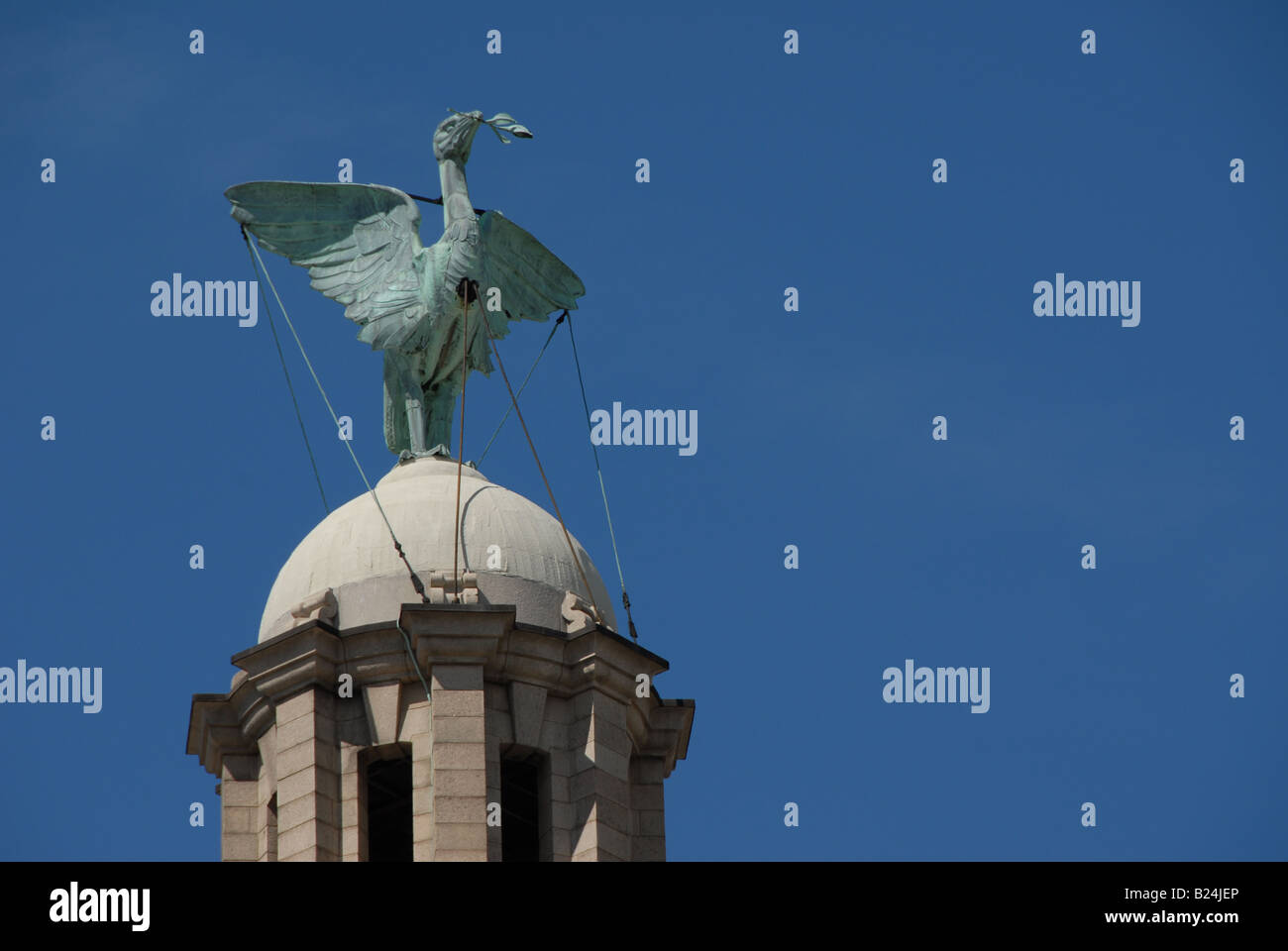 One of the Liver Birds on top of the Liver building at the Pier head in