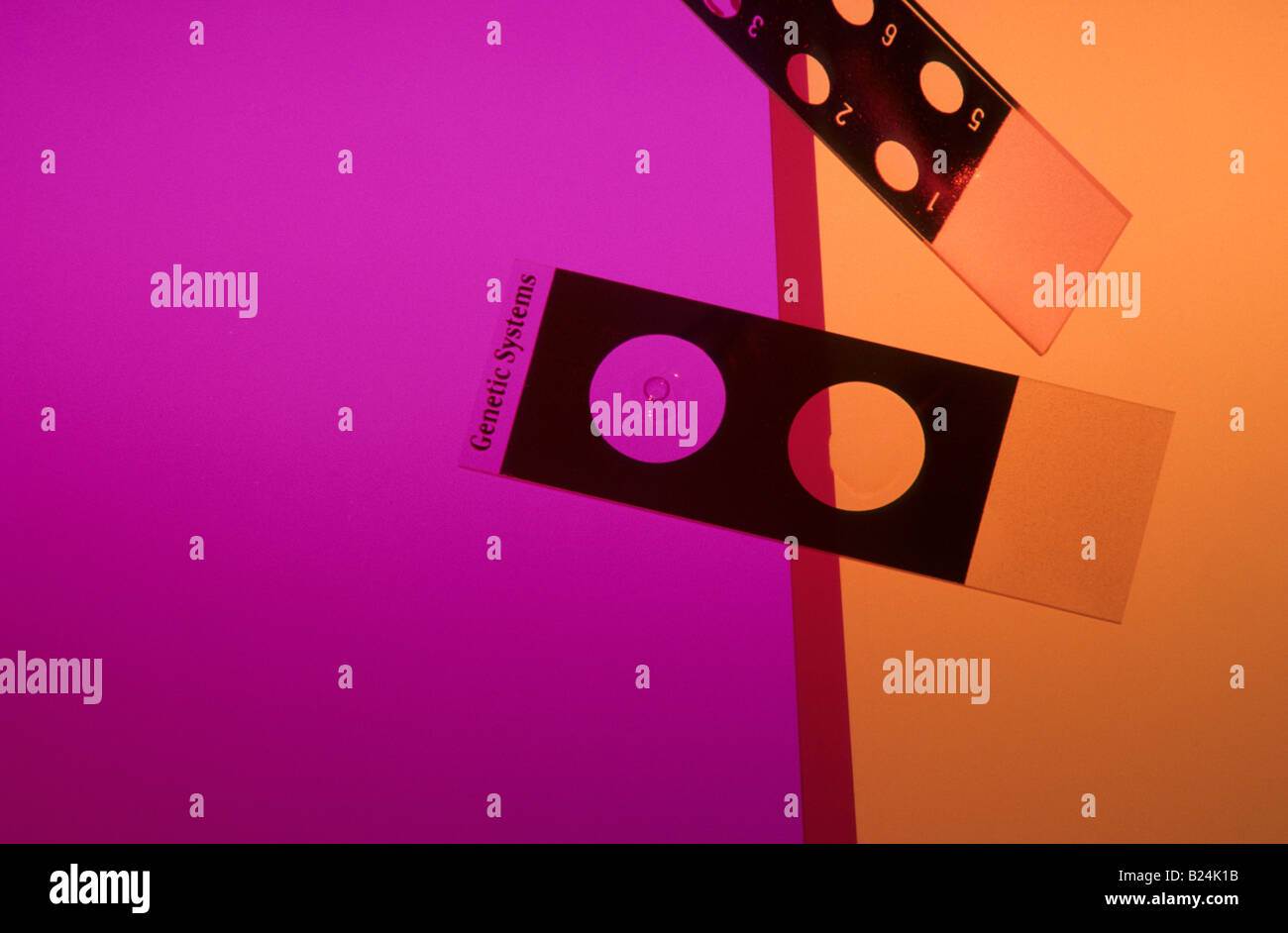 MICROSCOPE SLIDES ARRANGED ON COLORED BACKGROUND Stock Photo Alamy