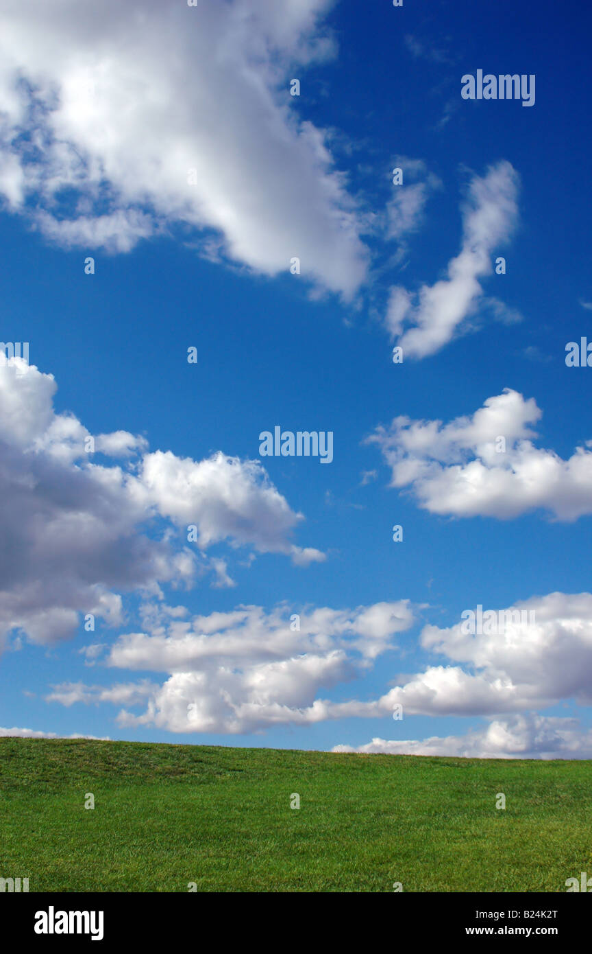 Blue sky with clouds and green grass Stock Photo - Alamy