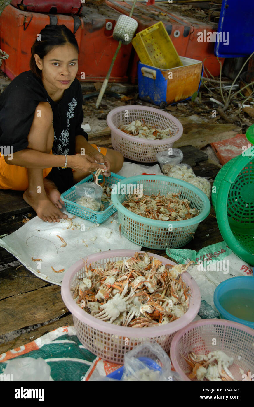 seperating crab meat, pig island(koh sukorn) trang  province , thailand Stock Photo