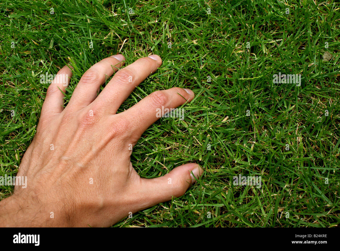 touching grass