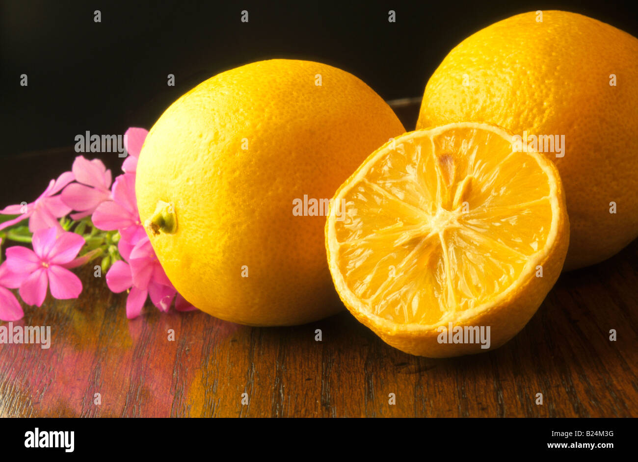 STILL LIFE LEMONS CITRUS FRUIT VITAMIN C Stock Photo Alamy