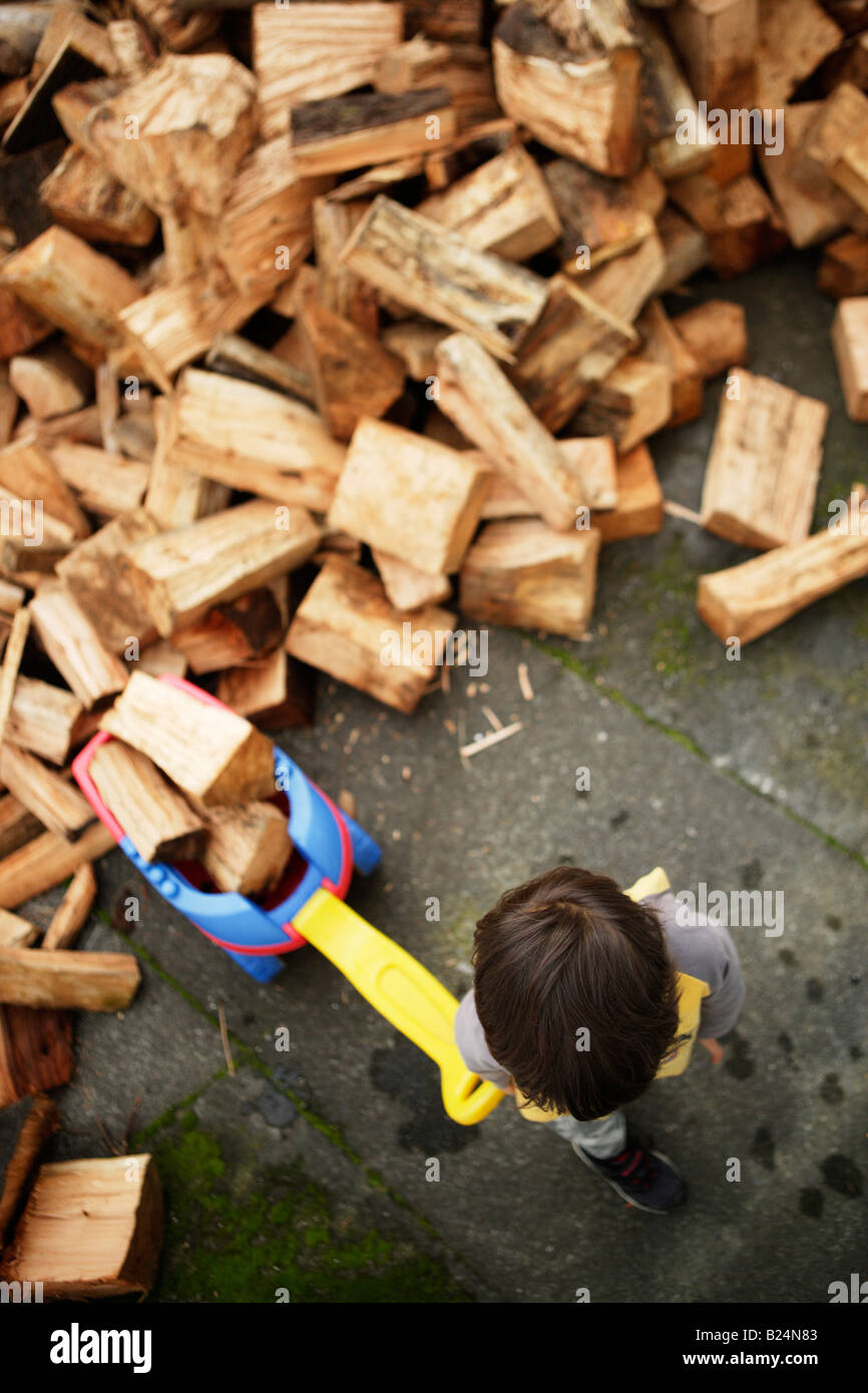 Boy aged six collects firewood in plastic toy trolley Wood is a zero carbon sustainable and renewable heating fuel Stock Photo
