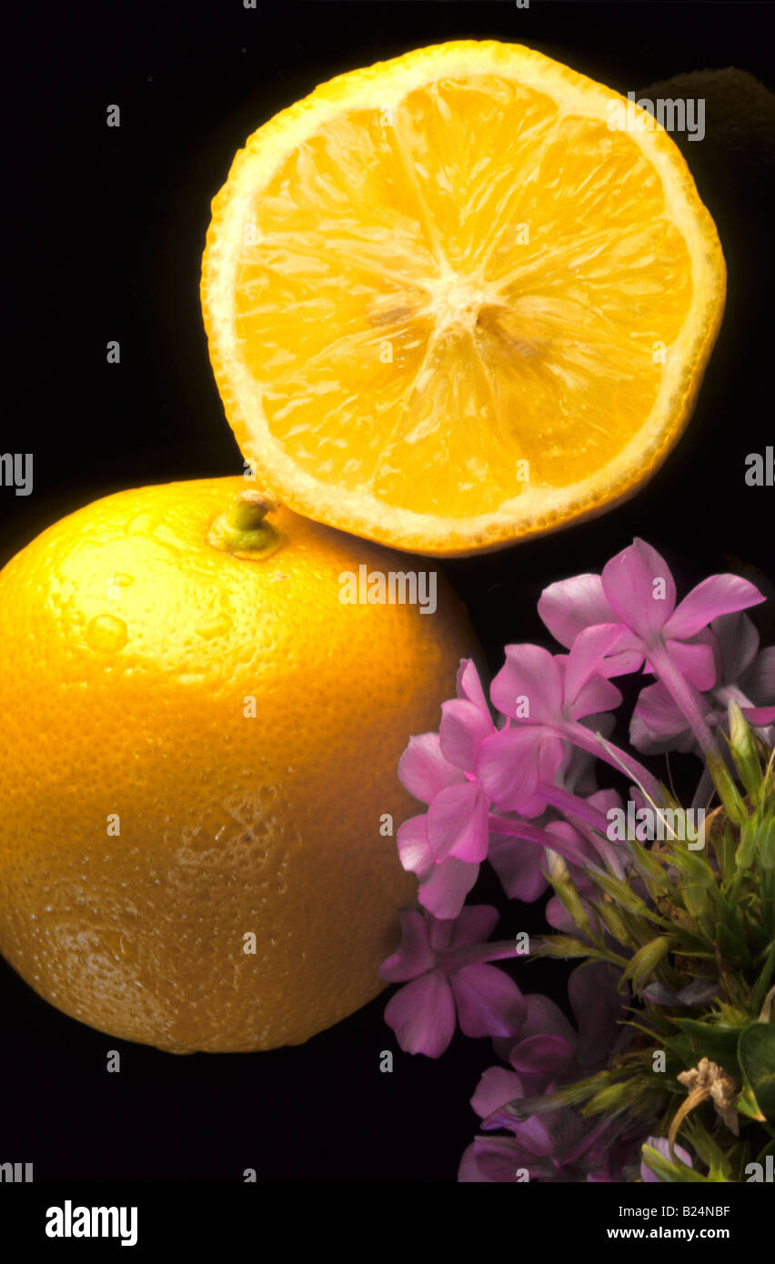 STILL LIFE LEMONS CITRUS FRUIT VITAMIN C Stock Photo Alamy