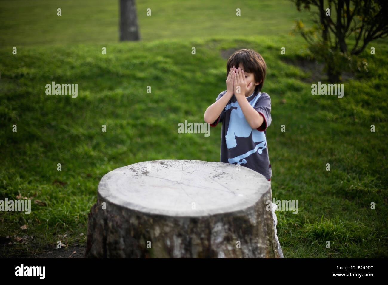 Boy aged six counts before searching for friends in game of hide and seek Stock Photo