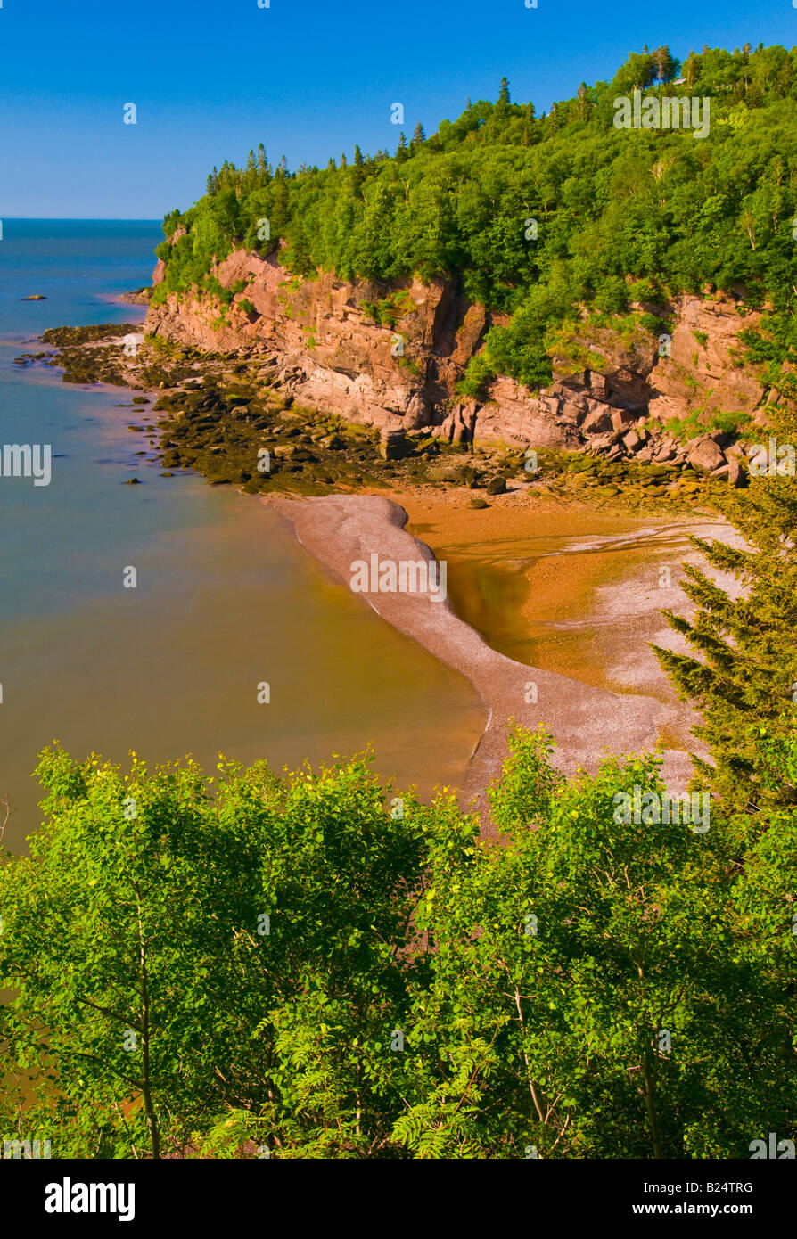 Fundy Rio  Rio de Janeiro RJ