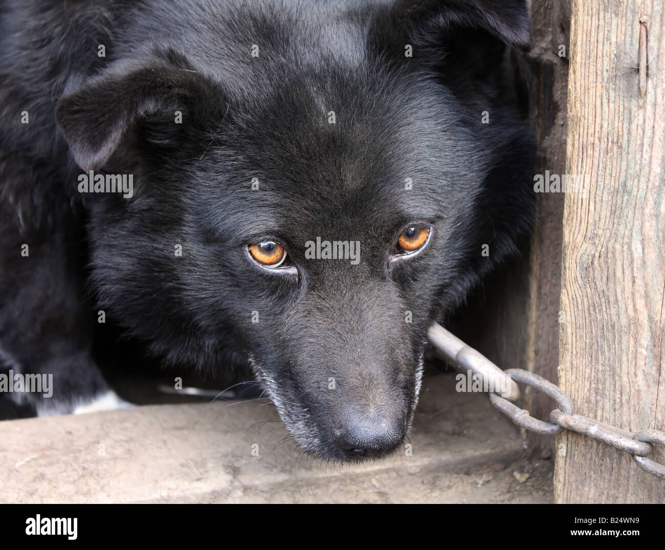 Slave Chain Hi-res Stock Photography And Images - Alamy