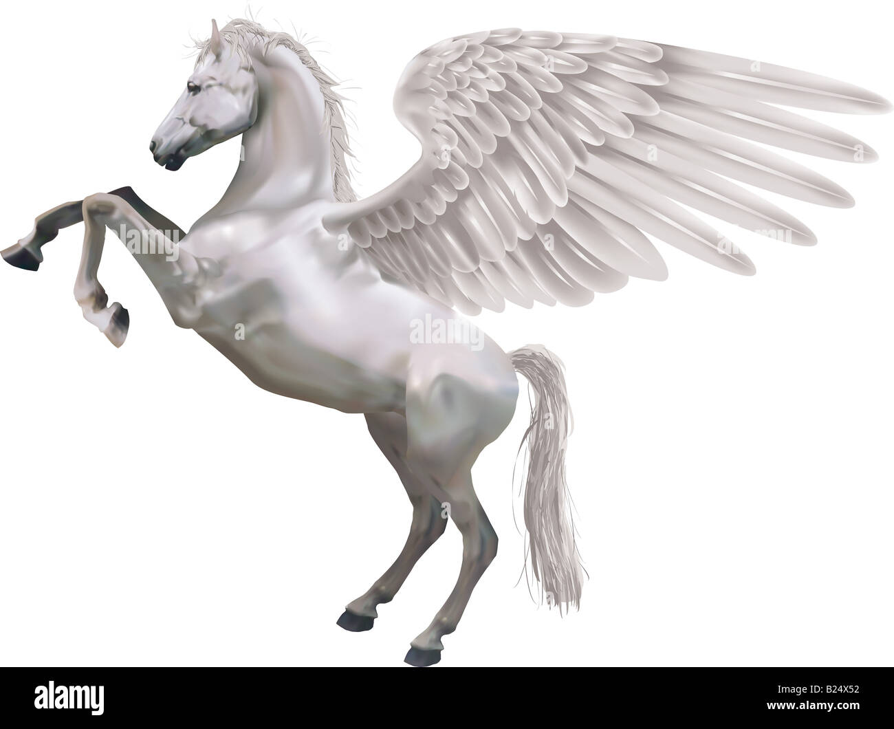 Pegasus. An illustration of the mythological horse Pegasus rearing up on its hind legs. Stock Photo